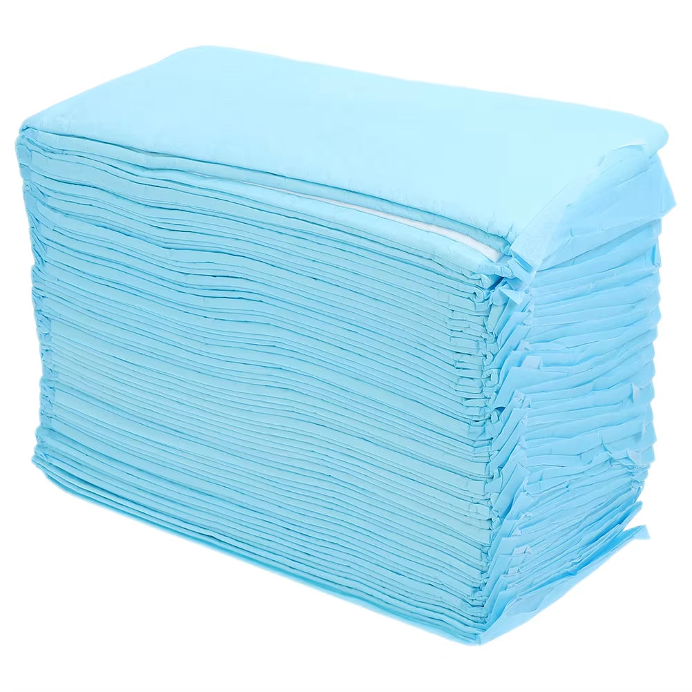 40 Pcs Pet Pee Pad Professional Dog Pee Pad Disposable Pet Cushion Urinal Pad Pet Training Mat Housebreaking Supplies Pet