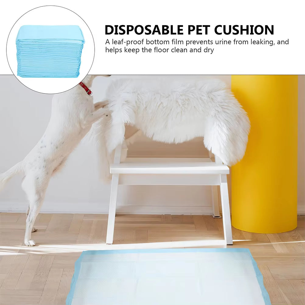 40 Pcs Pet Pee Pad Professional Dog Pee Pad Disposable Pet Cushion Urinal Pad Pet Training Mat Housebreaking Supplies Pet