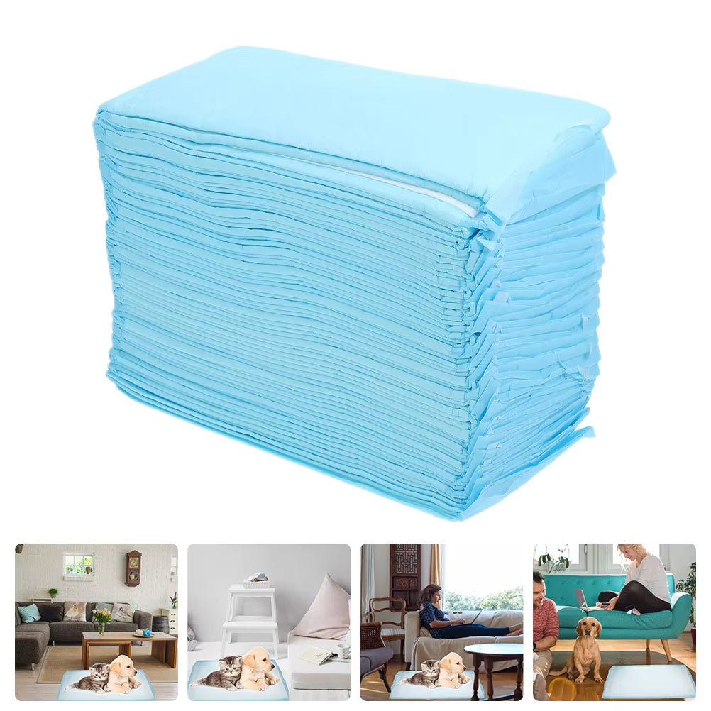 40 Pcs Pet Pee Pad Professional Dog Pee Pad Disposable Pet Cushion Urinal Pad Pet Training Mat Housebreaking Supplies Pet