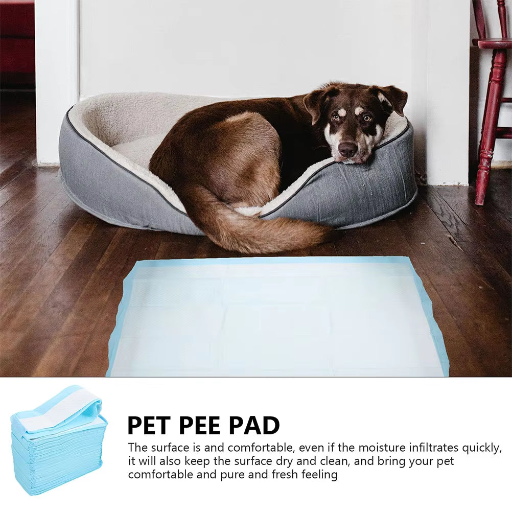 40 Pcs Pet Pee Pad Professional Dog Pee Pad Disposable Pet Cushion Urinal Pad Pet Training Mat Housebreaking Supplies Pet