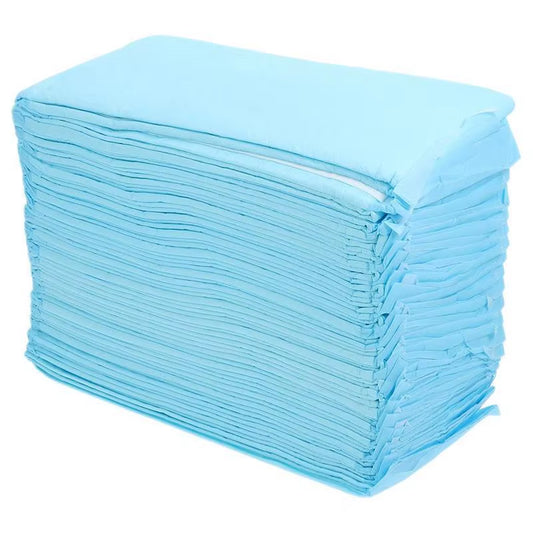 40 Pcs Pet Pee Pad Professional Dog Pee Pad Disposable Pet Cushion Urinal Pad Pet Training Mat Housebreaking Supplies Pet